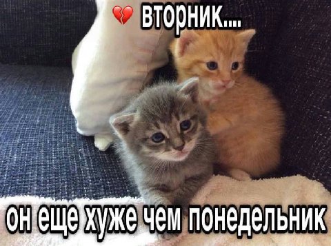 Чем понедельник