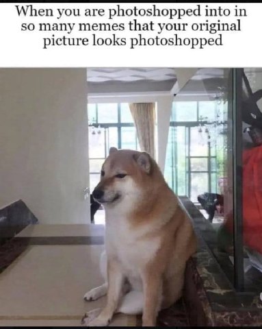 When you are photoshopped into in so many memes that your original picture looks photoshopped
