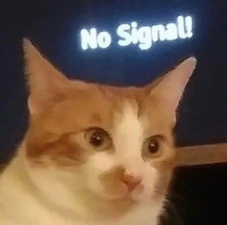 No