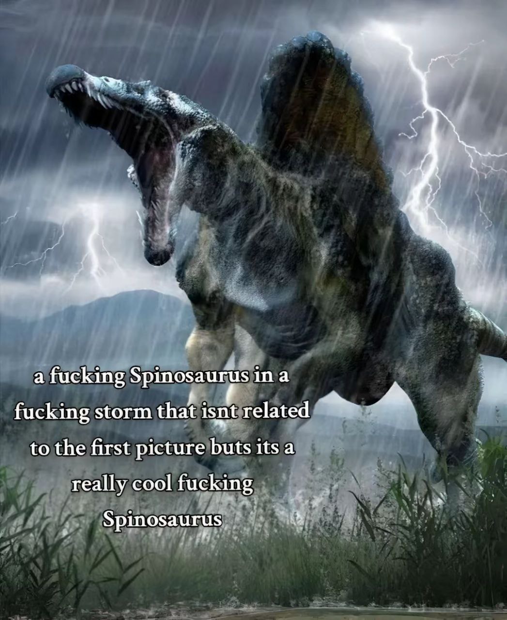 a fucking ina fucking storm that isnt related to the first picture buts its a really cool fucking Spinosaurus