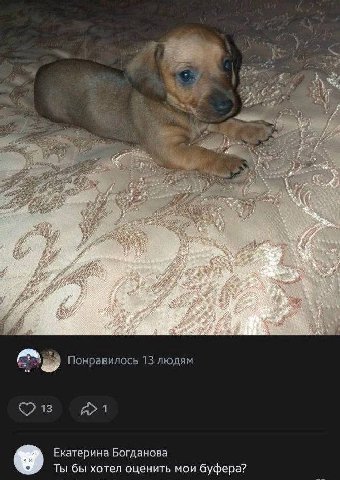 at у Понравилось 13 людям Екатерина Богданова Ты бы хотел оценить мои буфера?