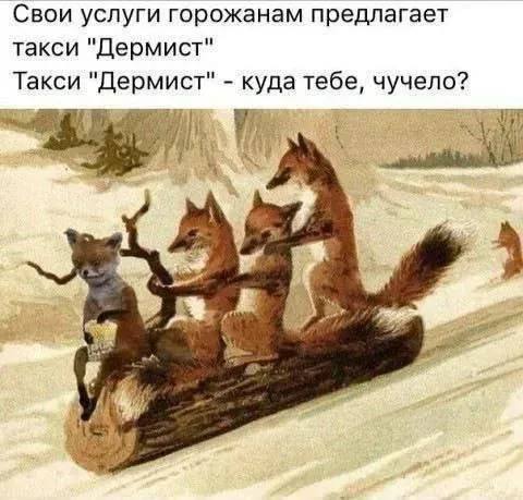 Свои услуги горожанам предлагает такси "Дермист" Такси "Дермист" куда тебе, чучело? 5