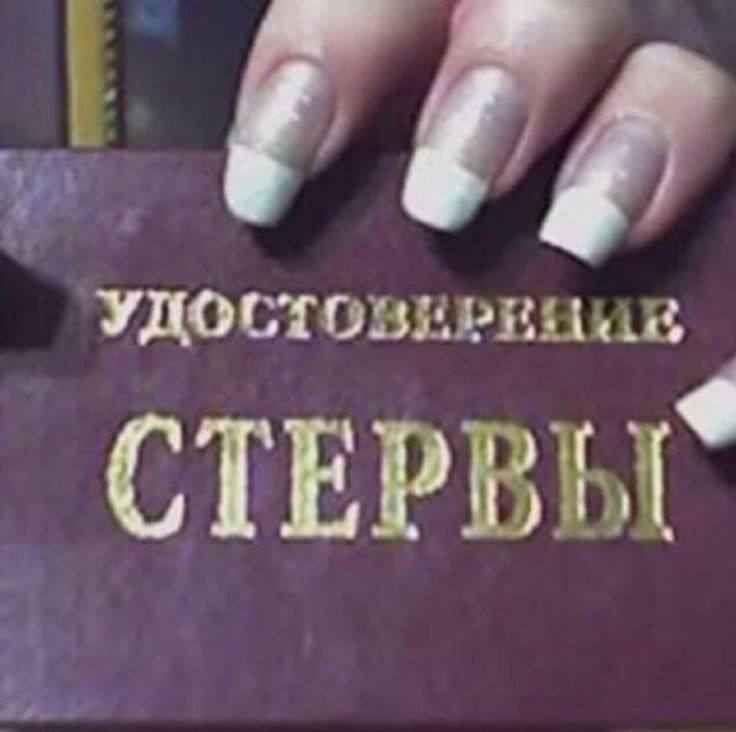 СТЕРВЫ