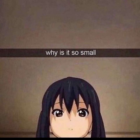 why is it so small