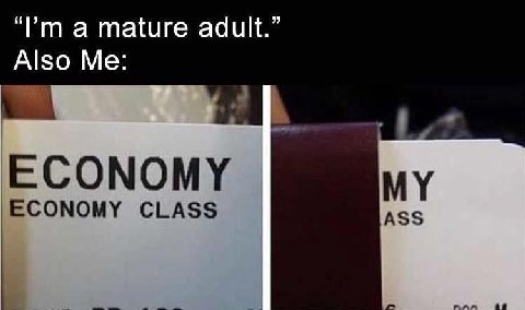a mature adult.” Also Me: ECONOMY ECONOMY CLASS ASS