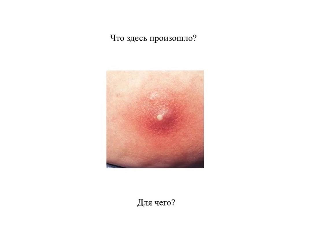 Что здесь произошло? Для чего?