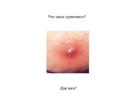 Что здесь произошло? Для чего?
