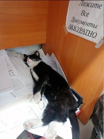 i Я а 1 у