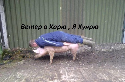 a у у 1 Я у И 42 i 2? к 7 4 he 4 i к a may 4 4 у