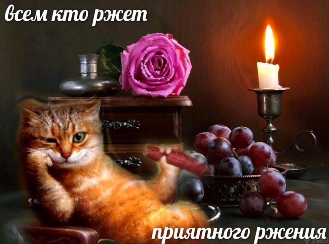 всем кто ржет Приятного ржения