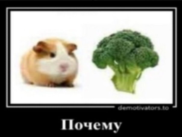 Почему