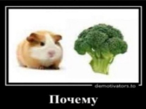 Почему