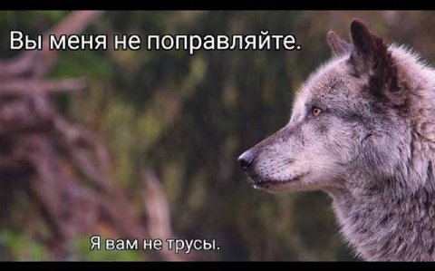 Вы меня не поправляйте. Я вам не трусы.
