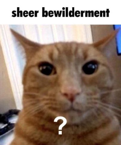 sheer bewilderment