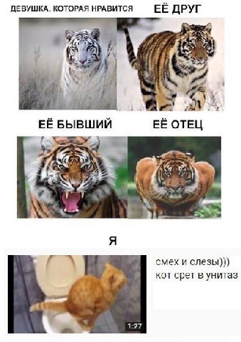 ДЕВУШКА, КОТОРАЯ НРАВИТСЯ ЕЁ ДРУГ БЫВШИЙ ЕЁ ОТЕЦ i i A смех и слезы))) кот срет в унитаз