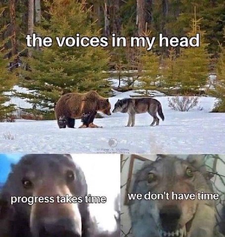 the voices in my head we don't have time progress