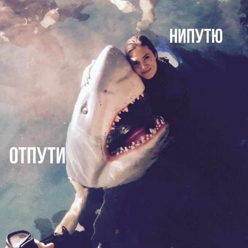НИПУТЮ ОТПУТИ