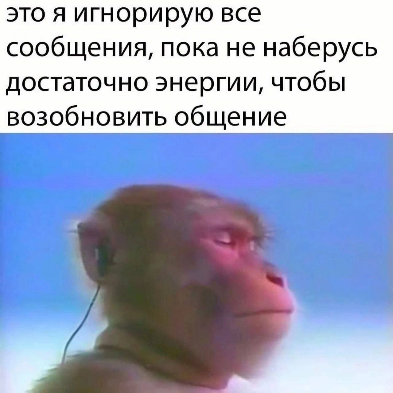 это я игнорирую все сообщения, пока не наберусь достаточно энергии, чтобы возобновить общение