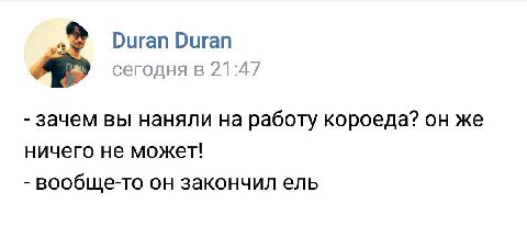 Duran Duran сегодня в 21:47 зачем вы наняли на работу короеда? он же ничего не может! вообще-то он закончил ель