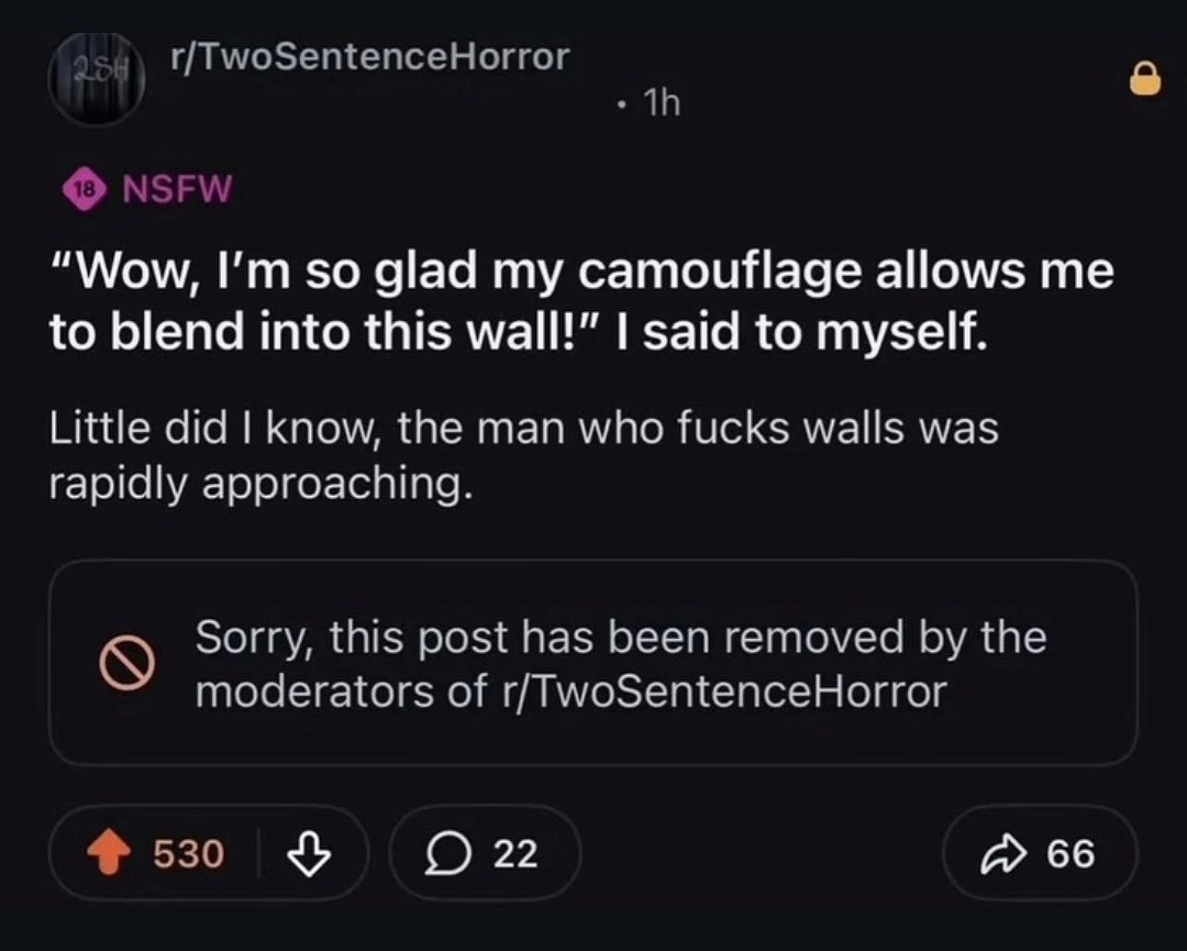 “Wow, so glad my camouflage allows to blend into this wall!” said to myself. Little did know, the man who fucks walls was rapidly approaching. Sorry, this post has been removed the moderators of r/Two