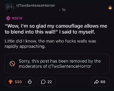 “Wow, so glad my camouflage allows to blend into this wall!” said to myself. Little did know, the man who fucks walls was rapidly approaching. Sorry, this post has been removed the moderators of r/Two