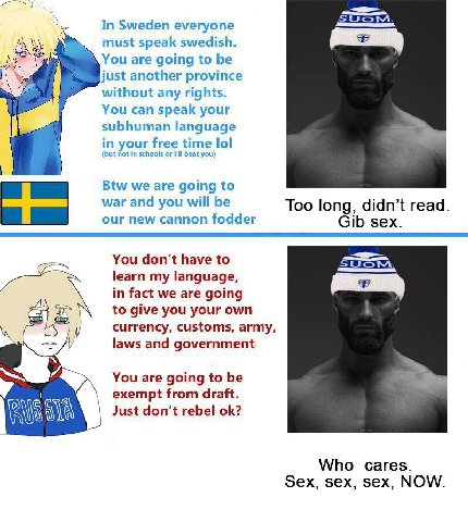 In Sweden everyone must speak swedish. You are going to be just another province without any rights. You can speak your subhuman language in your free time lol (but in schools or beat you) Btw we are 
