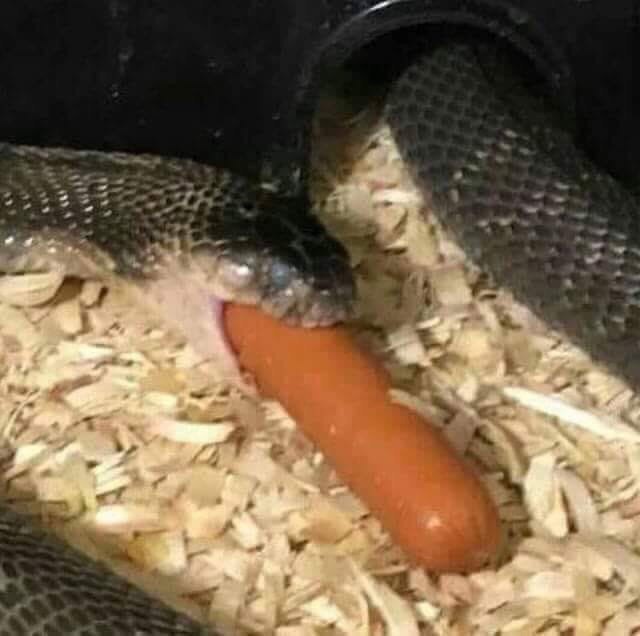 4 a