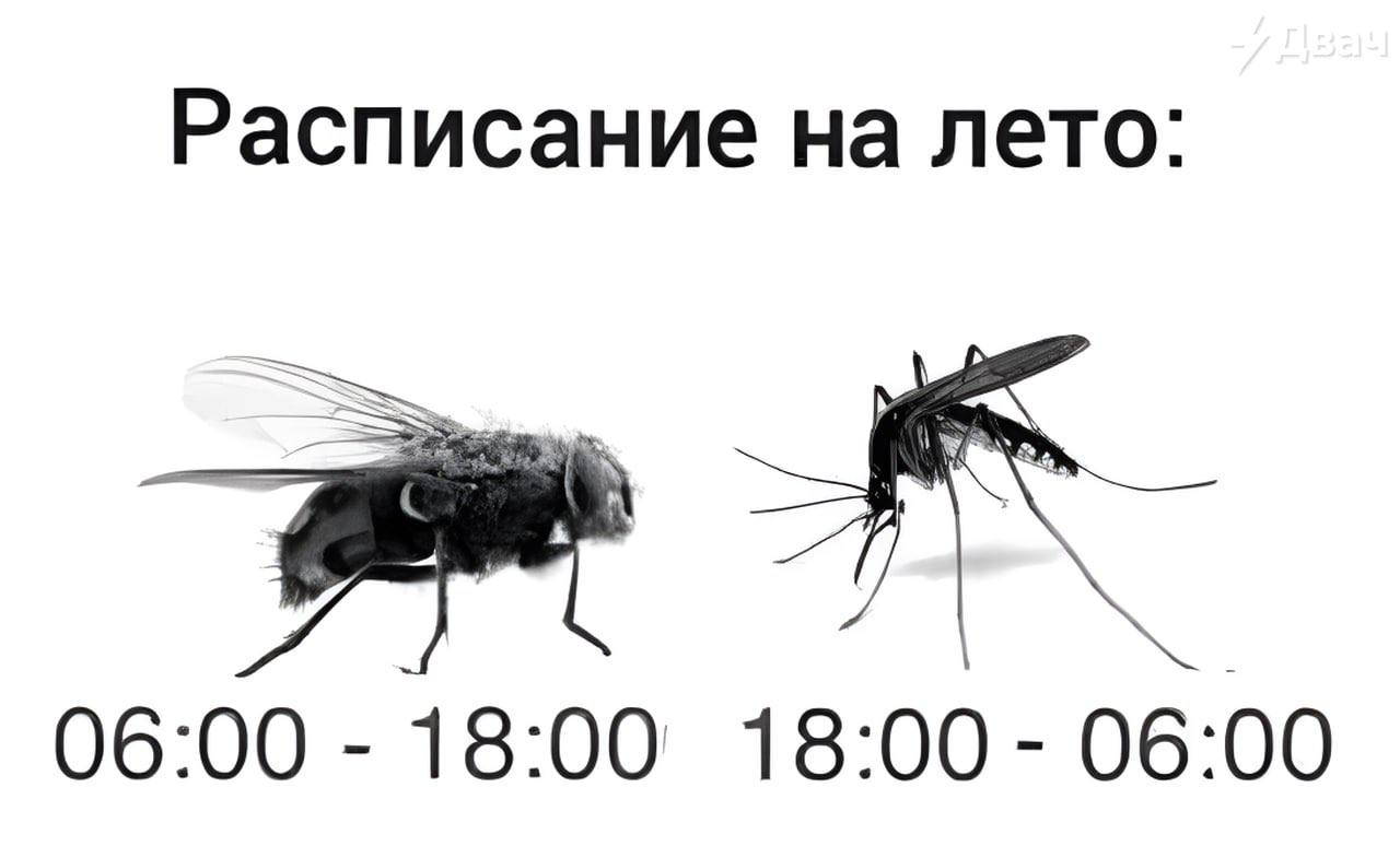 Расписание на лето: 06:00 18:00 18:00 06:00