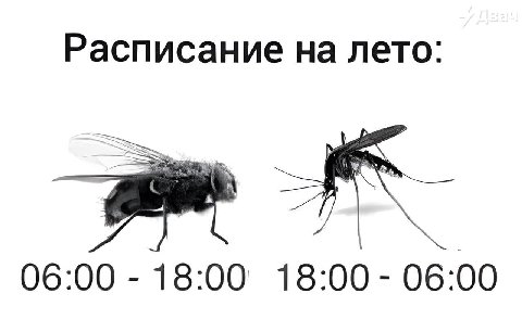 Расписание на лето: 06:00 18:00 18:00 06:00