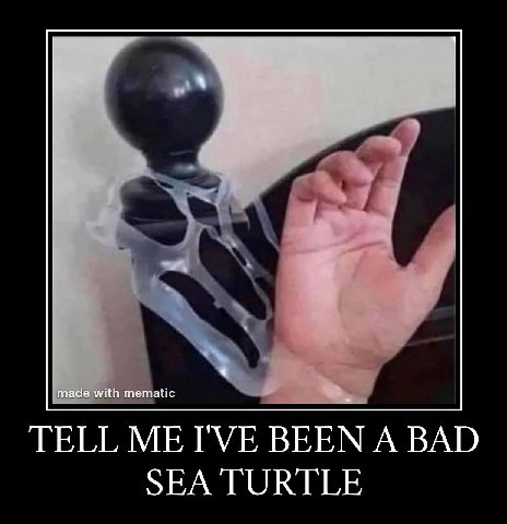 made with тетайс TELL ME I'VE BEEN A BAD SEA TURTLE