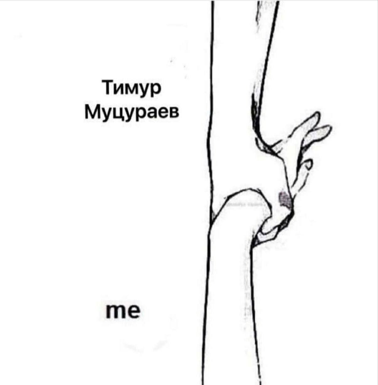 Тимур Муцураев