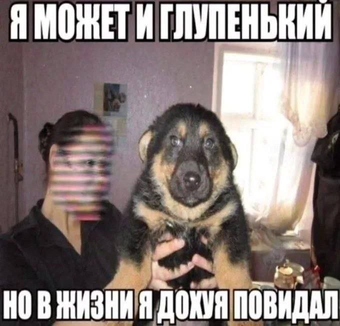 Я МОЖЕТИ ГЛУПЕНЬКИИ 7} a” Я ДОХУЯ ПОВИДАЛ