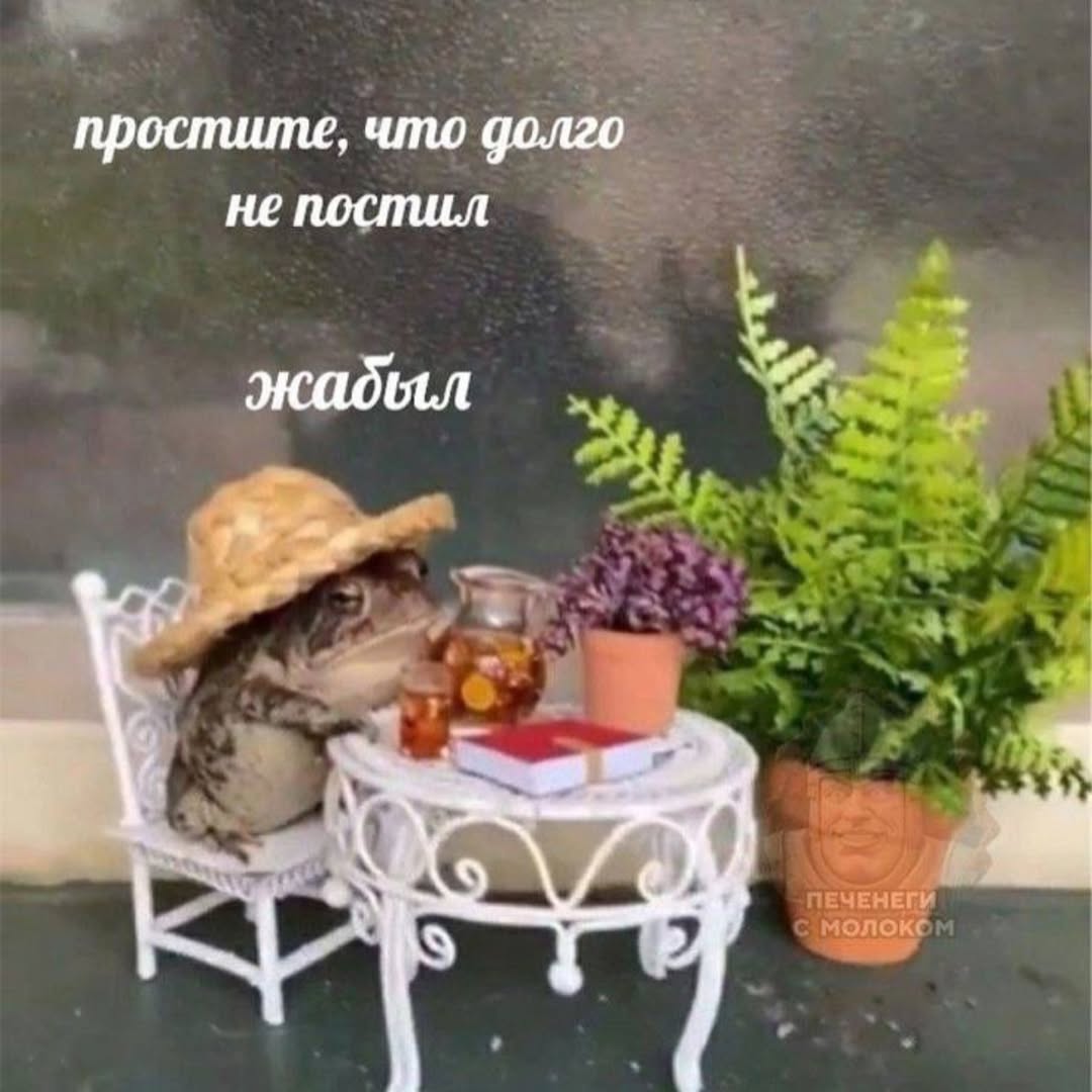 простите, что долго не постил gem ЧЕНЕГИ