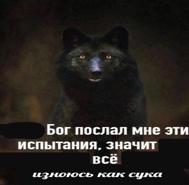 Бог послал мне эти испытания. значит всё