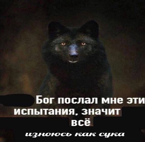Бог послал мне эти испытания. значит всё