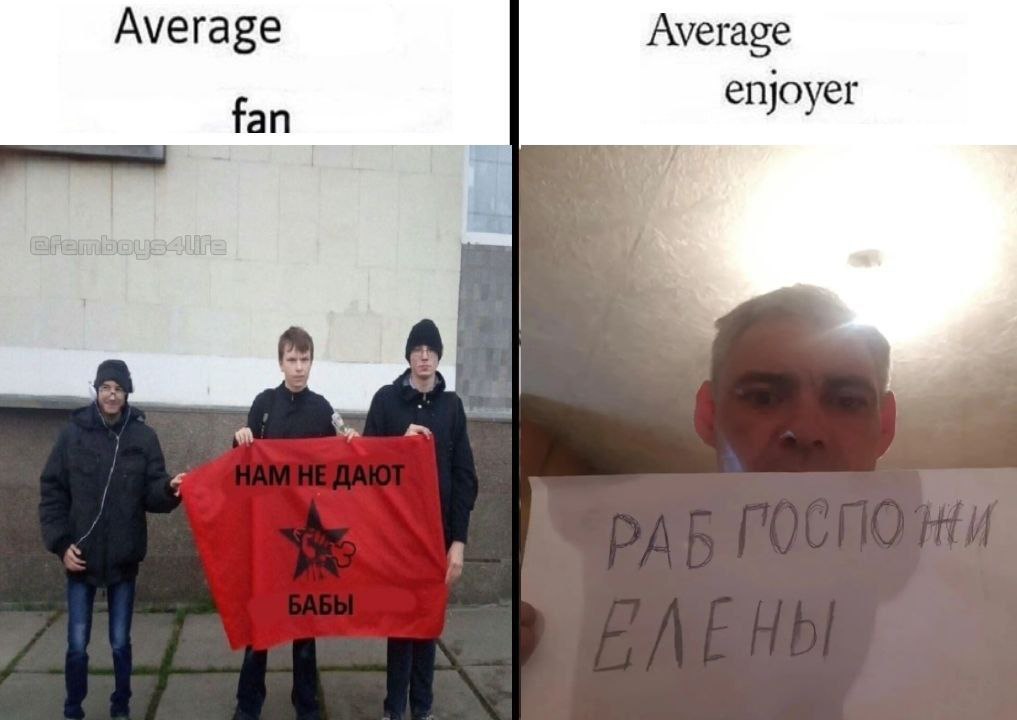 Average Average fan епуоуег