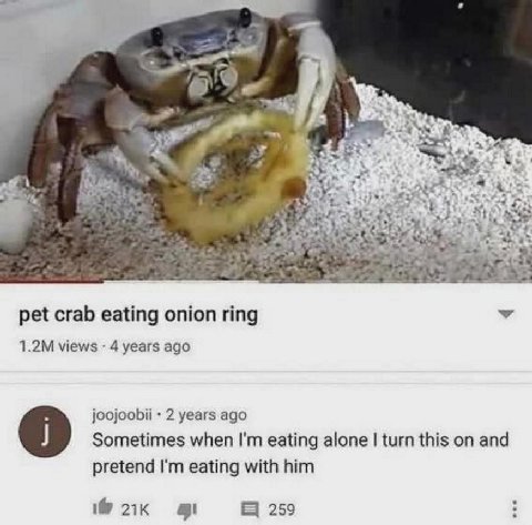 A pet crab eating onion ring У views 4 years ago joojoobii 2 years ago Sometimes when eating alone turn this on and pretend eating with him 259