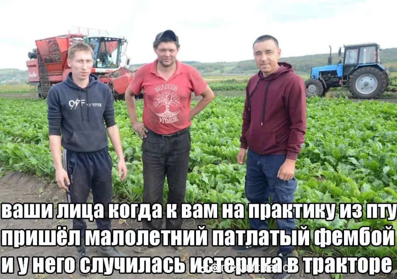 a OFF ваши, когдак BaM Hal практику. из пришёл малолетний патлатый фембой Hero случилась, тракторе