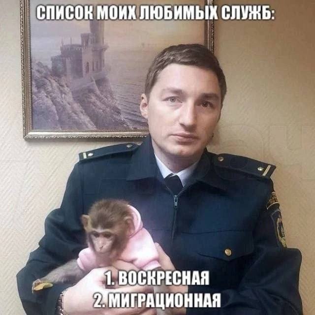 СПИСОК МОИК ЛЮБИМЫХ СЛУЖБ: ВОСКРЕСНАЯ ГРАЦИОННАЯ