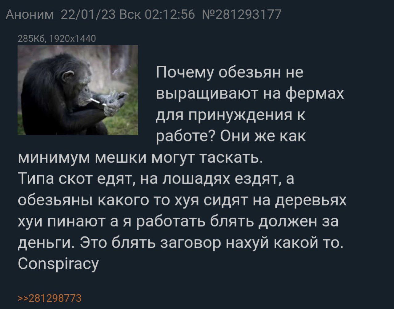 Аноним 22/01/23 Вск 02:12:56 №281293177 Почему обезьян не выращивают на фермах для принуждения к работе? Они же как минимум мешки могут таскать. Типа скот едят, на лошадях ездят, а обезьяны какого то 