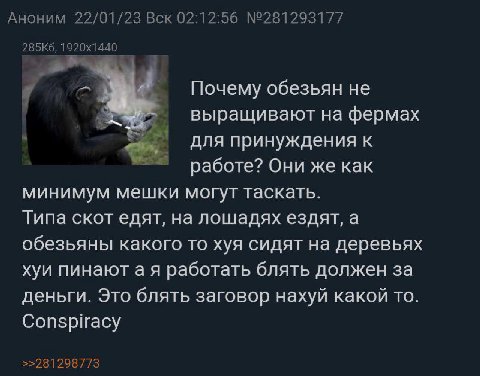 Аноним 22/01/23 Вск 02:12:56 №281293177 Почему обезьян не выращивают на фермах для принуждения к работе? Они же как минимум мешки могут таскать. Типа скот едят, на лошадях ездят, а обезьяны какого то 