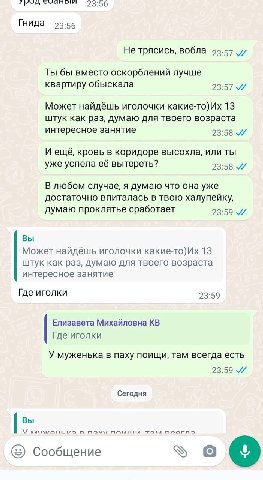 23:06 Гнида 93-56 Не трясись, вобла 93-57 Ты бы вместо оскорблений лучше квартиру обыскала 23:57 Может найдёшь иголочки какие-то)Их 13 штук как раз, думаю для твоего возраста интересное занятие 23:58 