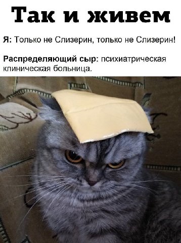 Так и живем Я: Только не Слизерин, только не Слизерин! Распределяющий сыр: психиатрическая клиническая больница.