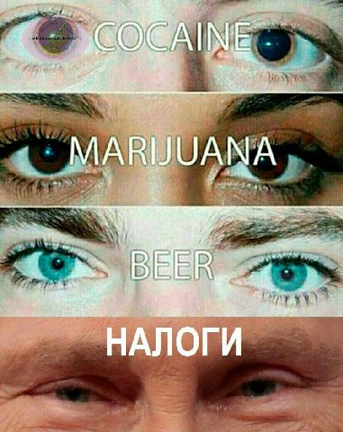 and 4. „1 2; IN и. 44 MARIJUANA “YAR to 2% ace и 1 42, НАЛОГИ