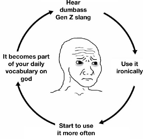 hear dumbass Gen slang It becomes part of your daily aS Use it vocabulary on ironically god Start to use it more often