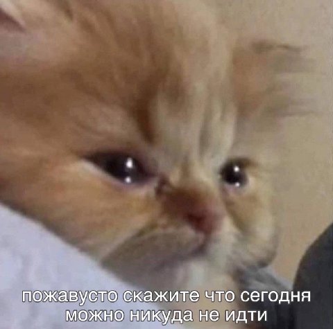 пожавусто скажите что сегодня можно никуда не идти