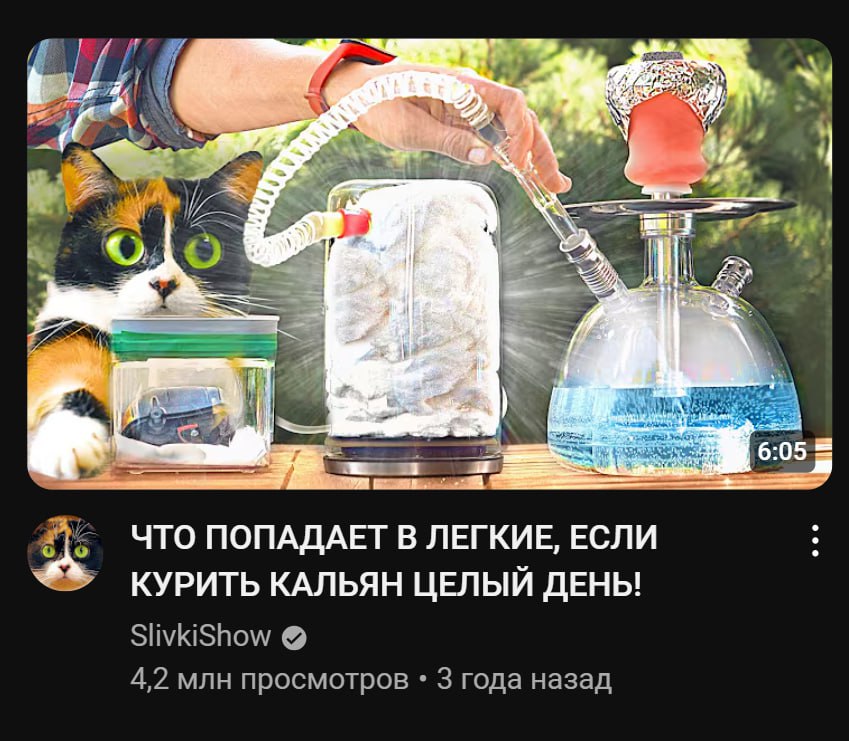 это мы с Максом после долгой разлуки