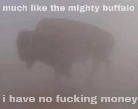 much like the mighty buffalo no fucking money