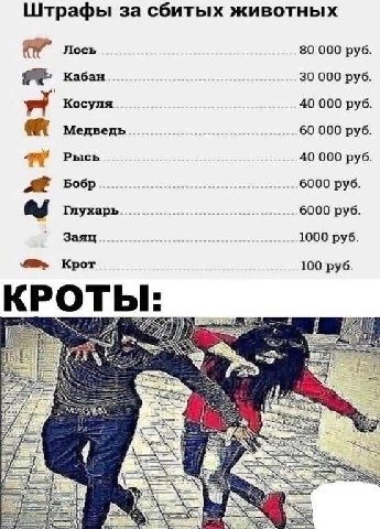 Штрафы за сбитых животных Лось 80 000 руб 30 000 руб кабан Косуля 40 000 руб Медведь 60 000 руб Рысь 40 000 руб Бобр 6000 руб Глухарь 6000 руб Заяц 1000 руб Крот 100 руб КРОТЫ: