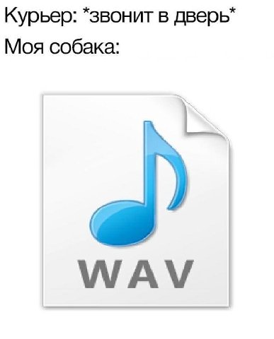 Курьер: *звонит в дверь” Моя собака: WAV